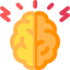 Brain