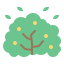 Bush