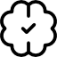 Brain