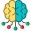 Brain