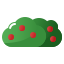 Bush
