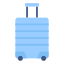 Luggage