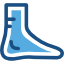Foot