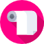 Paper roll