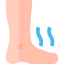 Foot
