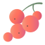 Currant