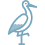 Stork