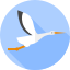 Stork