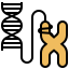 Chromosome
