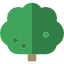 Oak