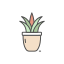 Plant pot