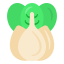 Spring onion
