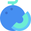 Melon