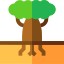 Baobab