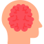 Brain