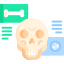 Human bones