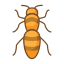 Ant