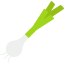 Spring onion