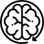 Brain