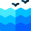 Ocean