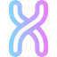 Chromosome