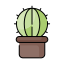 Кактус