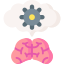 Brain