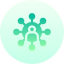 Network
