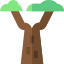 Baobab