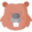 Beaver