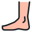 Foot