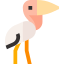 Stork