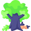 Oak