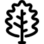 Oak