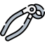 Forceps