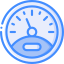 Gauge