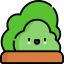 Bush