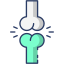 Joint