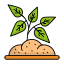 Leaves