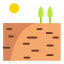 Field
