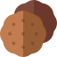 Biscuit