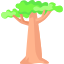Baobab