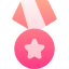 Medal of honor