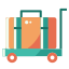 Luggage