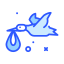 Stork