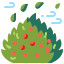 Bush
