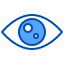 Eye