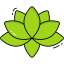 Лотос