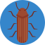Bug