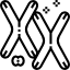 Chromosome